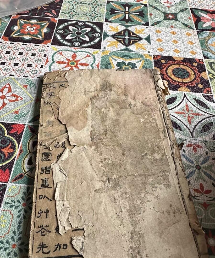 民国芥子园草虫花卉谱一册（无托实拍）