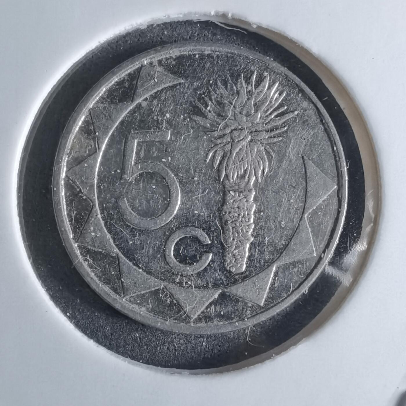 沼泽如烟--第924场