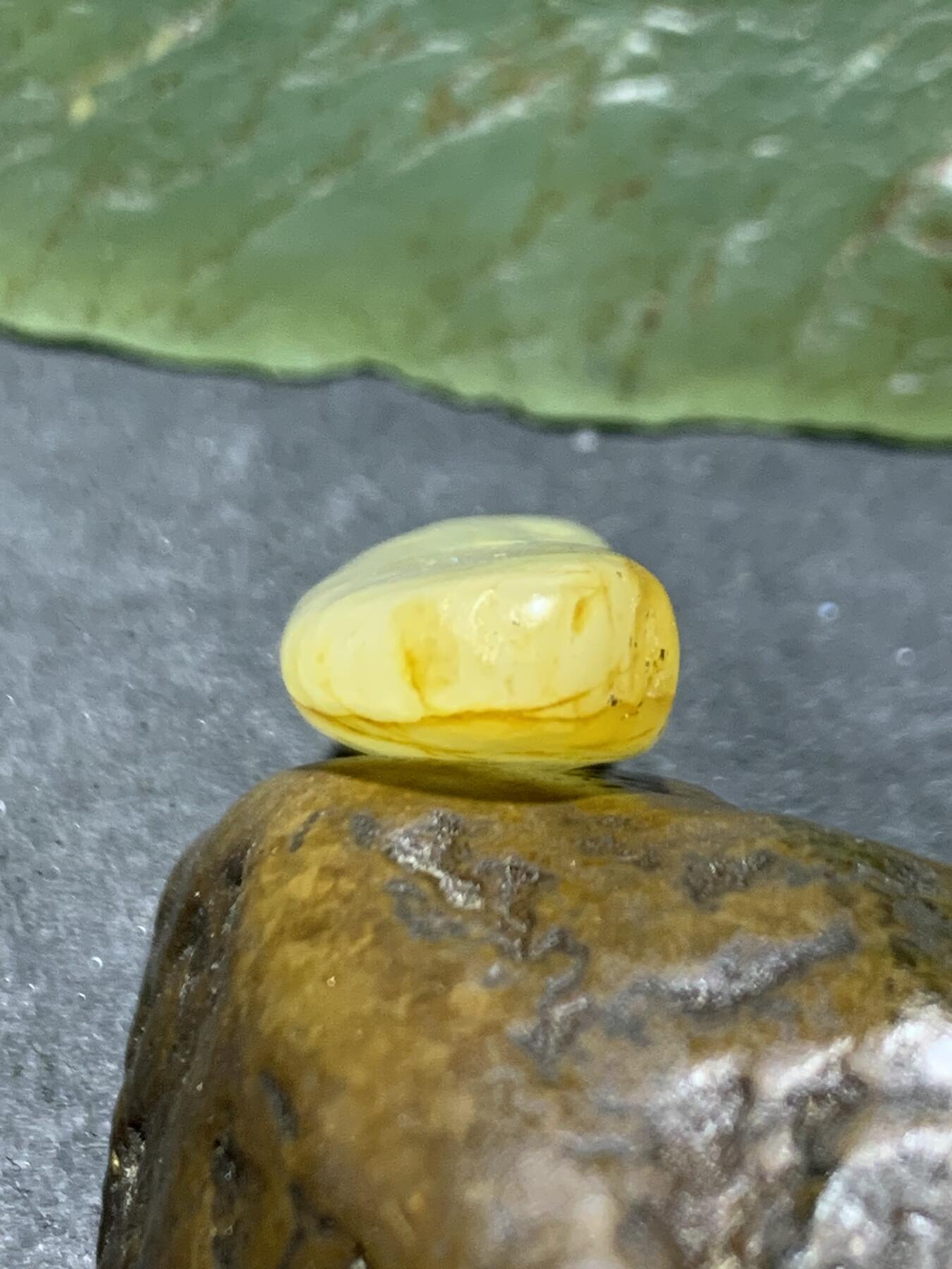 精美洒金皮和田玉小独籽原石一颗