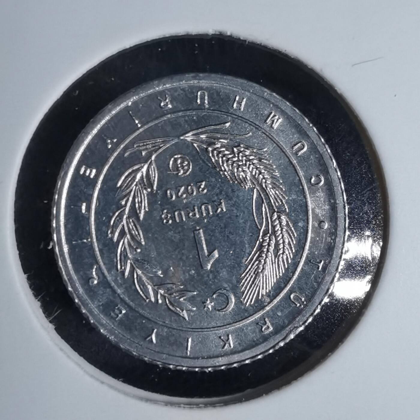 沼泽如烟--第924场