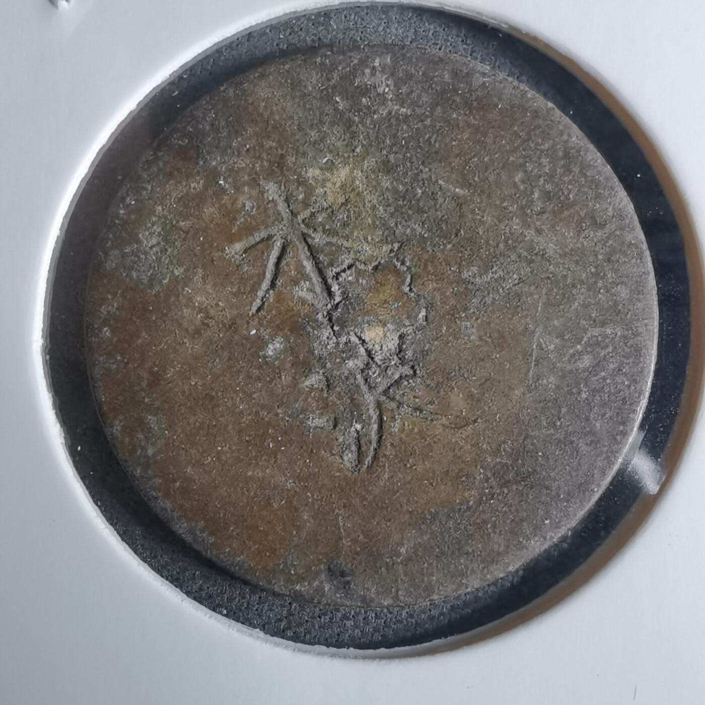 沼泽如烟--第924场 水沢