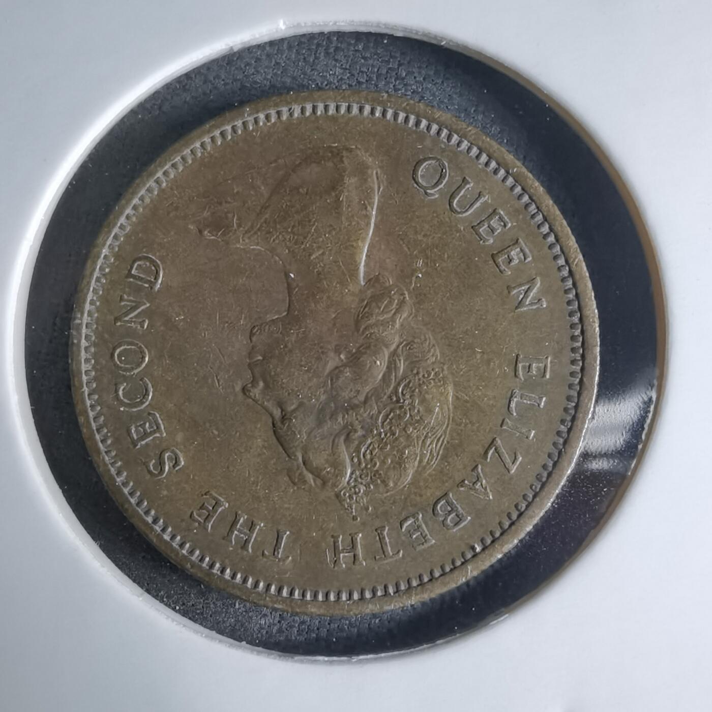 沼泽如烟--第924场