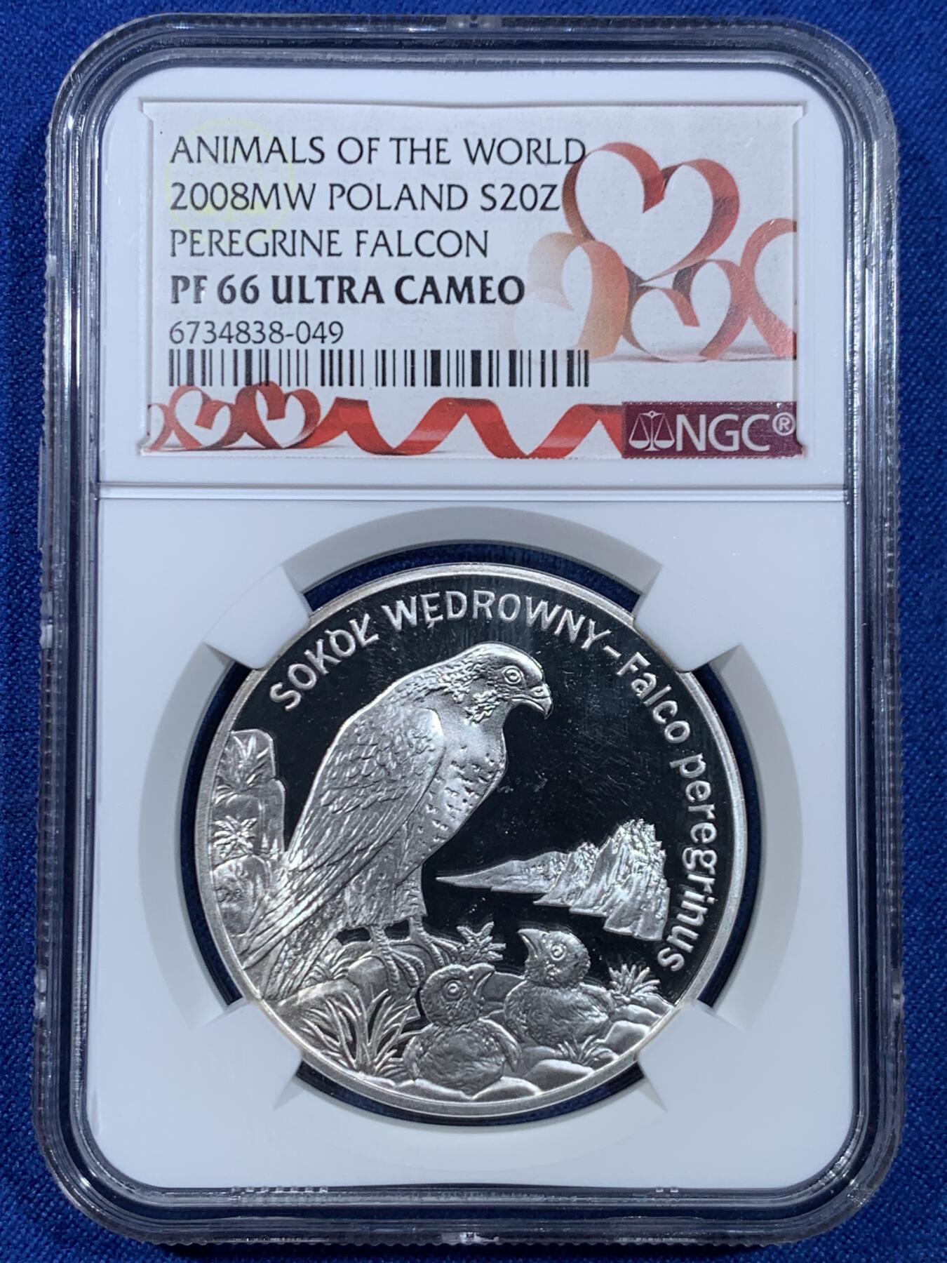 《竞宝斋》第445场 周日，周一，2场连拍 （全场包邮） NGC PF66UC 波兰2008年游隼20兹罗提精制银币 925银 28.28克