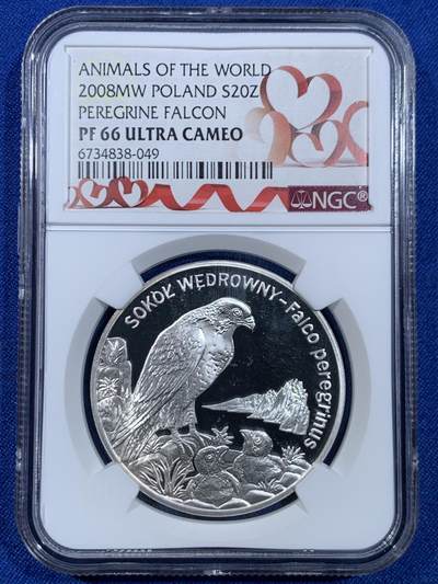 《竞宝斋》第445场 周日，周一，2场连拍 （全场包邮） - NGC PF66UC 波兰2008年游隼20兹罗提精制银币 925银 28.28克