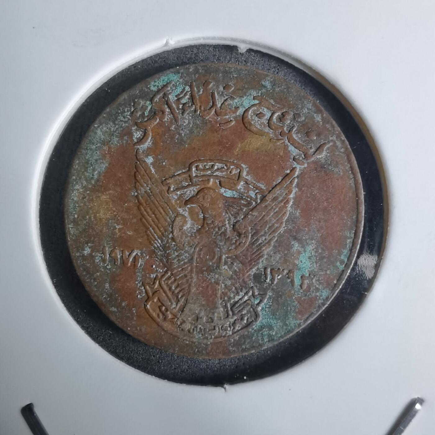 沼泽如烟--第924场