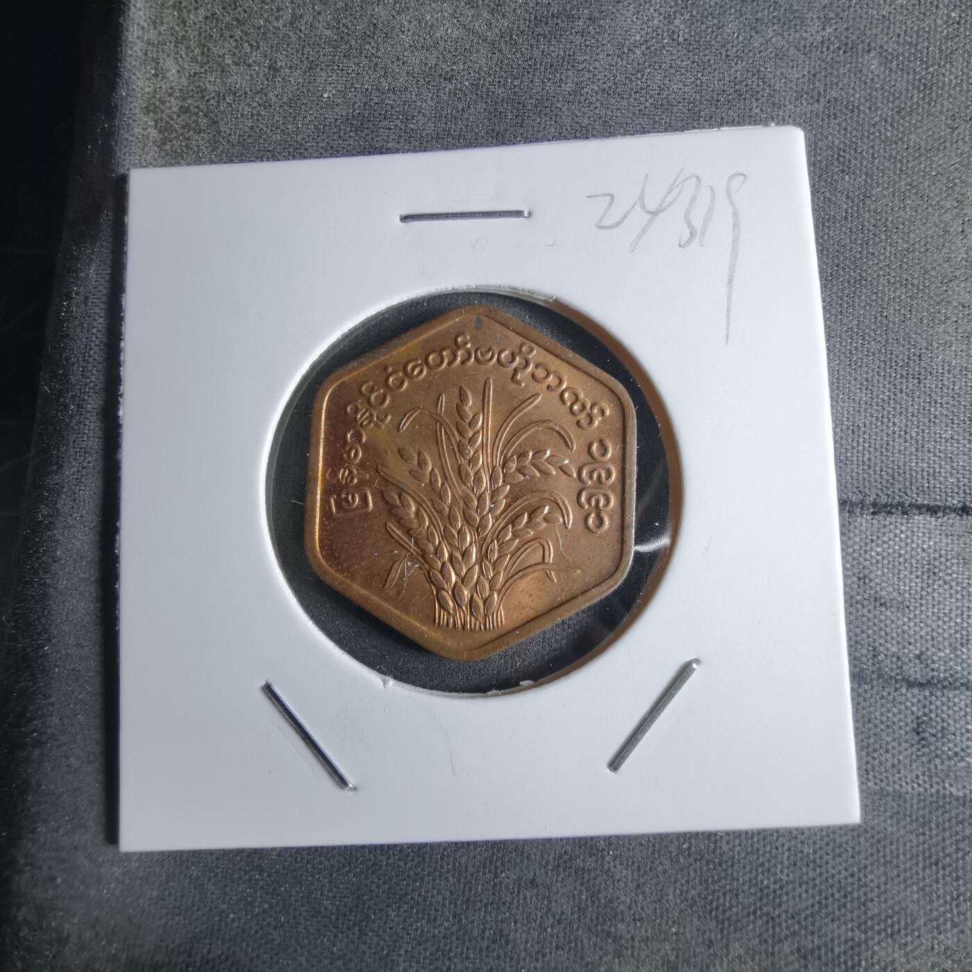 沼泽如烟--第924场