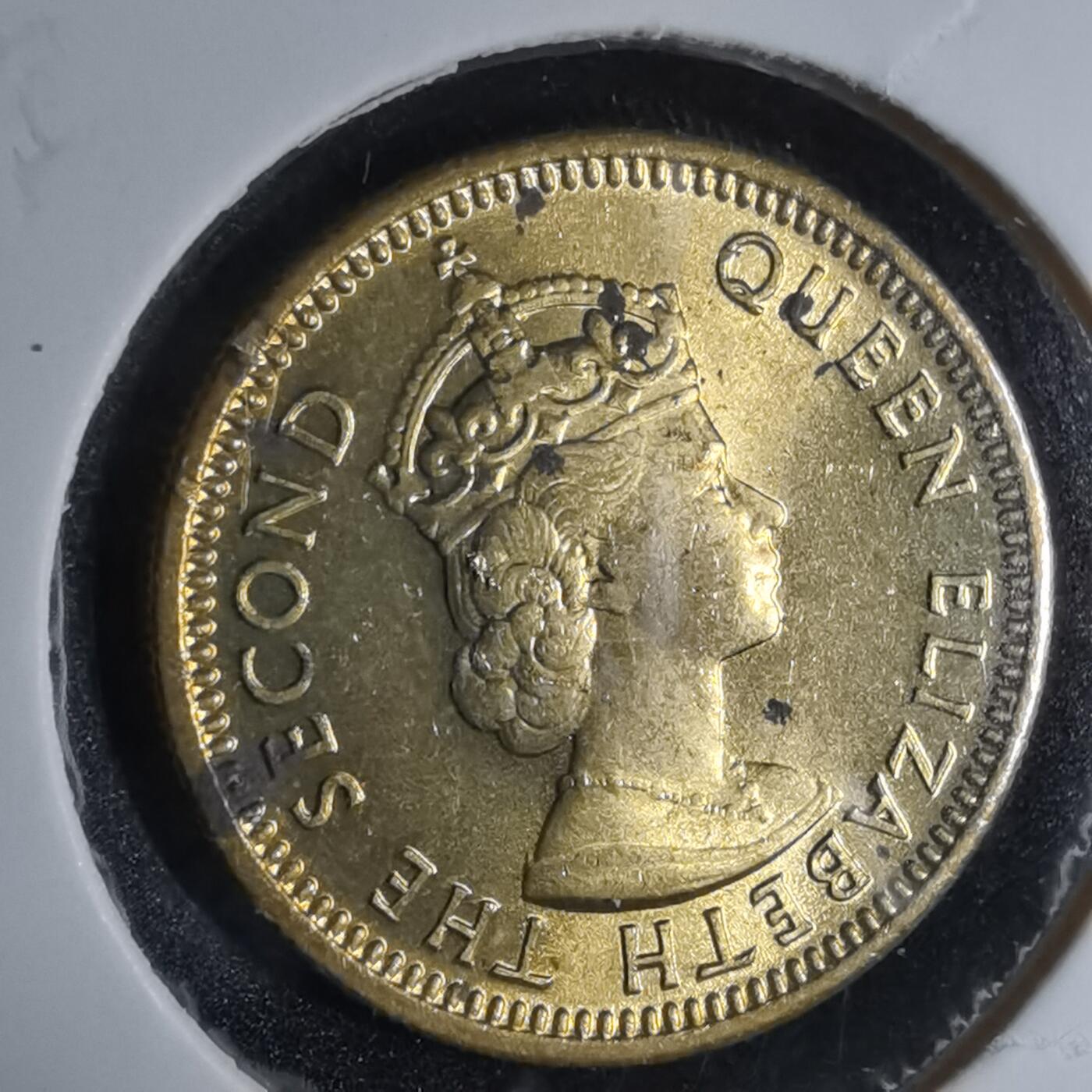 沼泽如烟--第924场