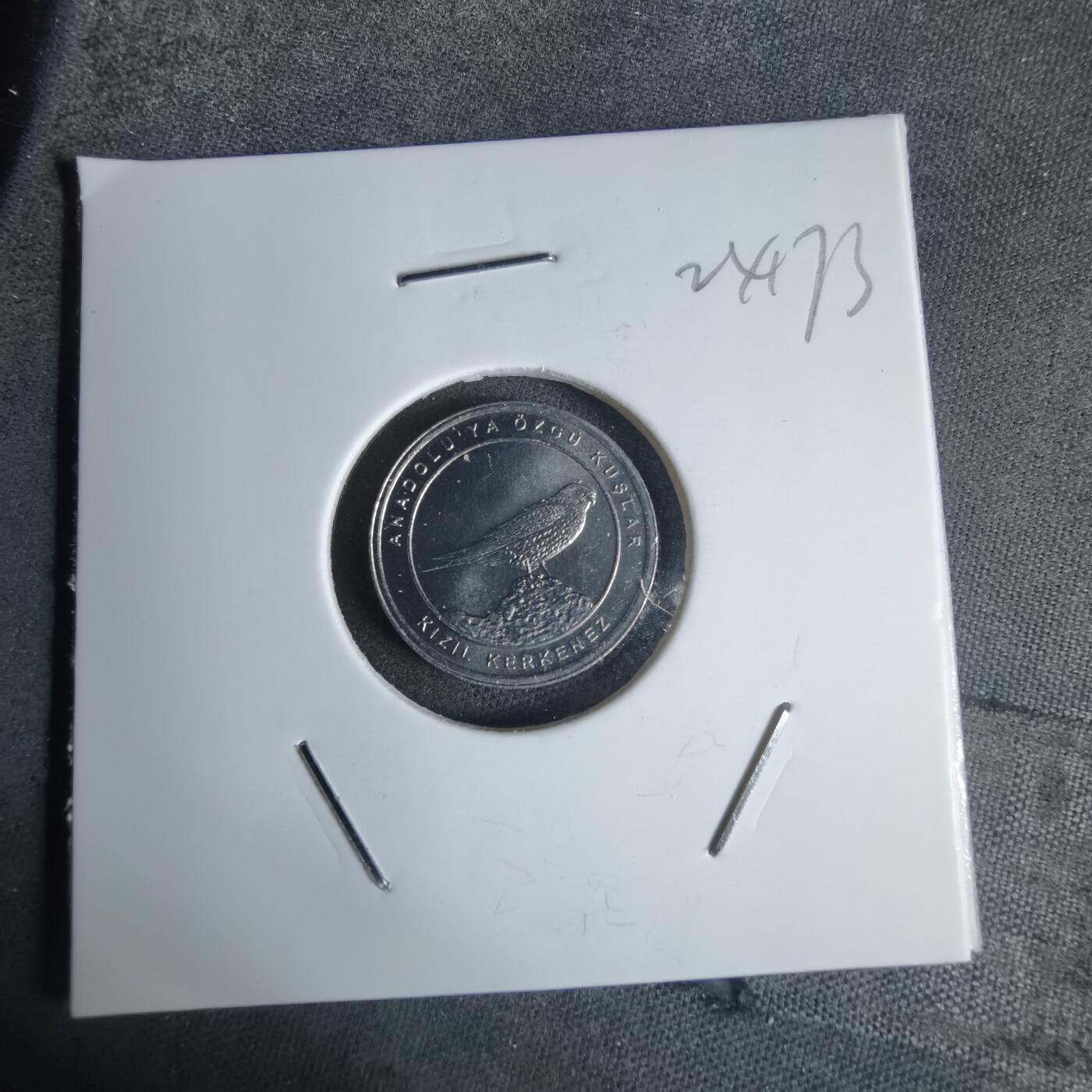 沼泽如烟--第924场