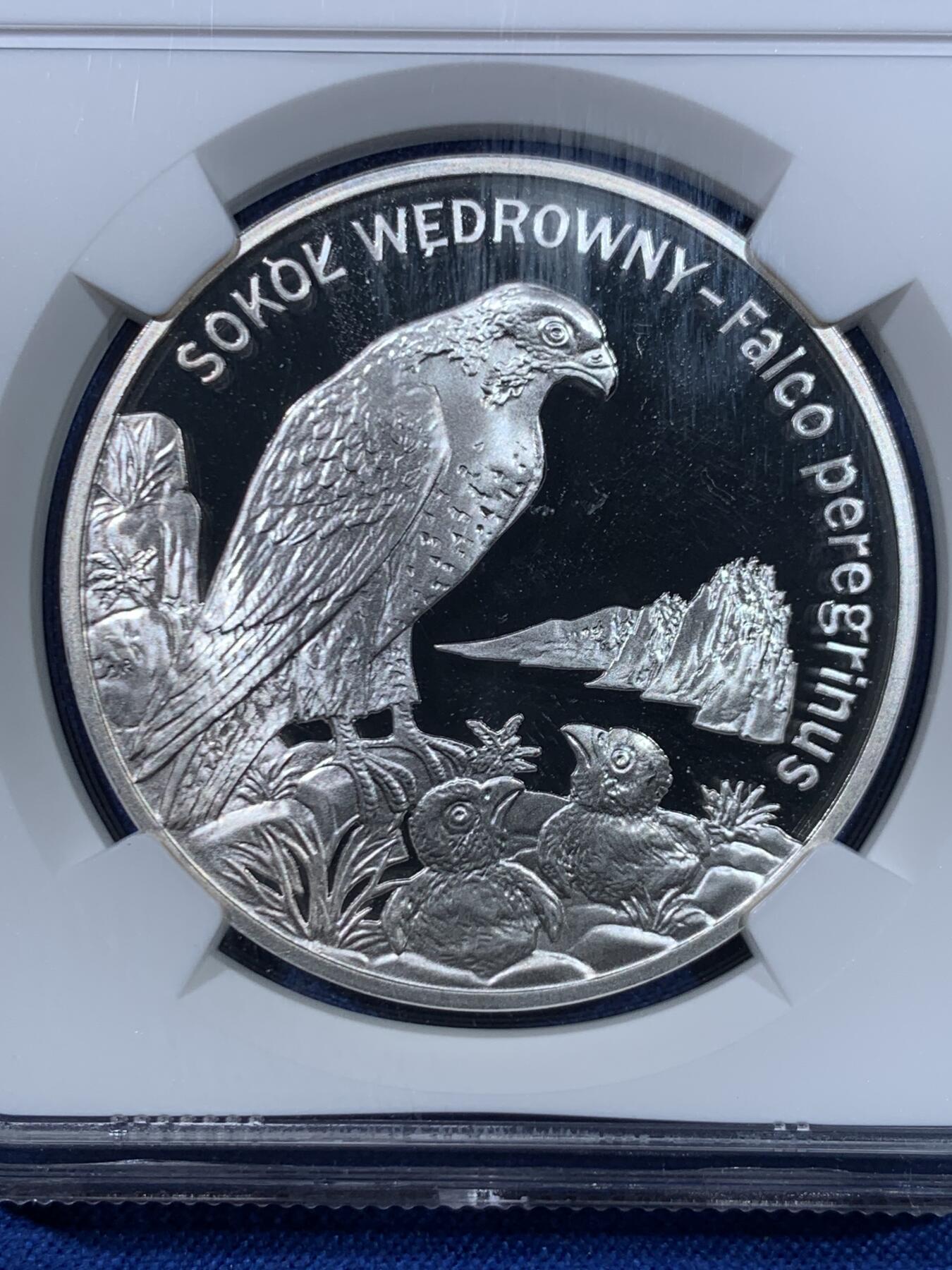 《竞宝斋》第445场 周日，周一，2场连拍 （全场包邮） NGC PF66UC 波兰2008年游隼20兹罗提精制银币 925银 28.28克