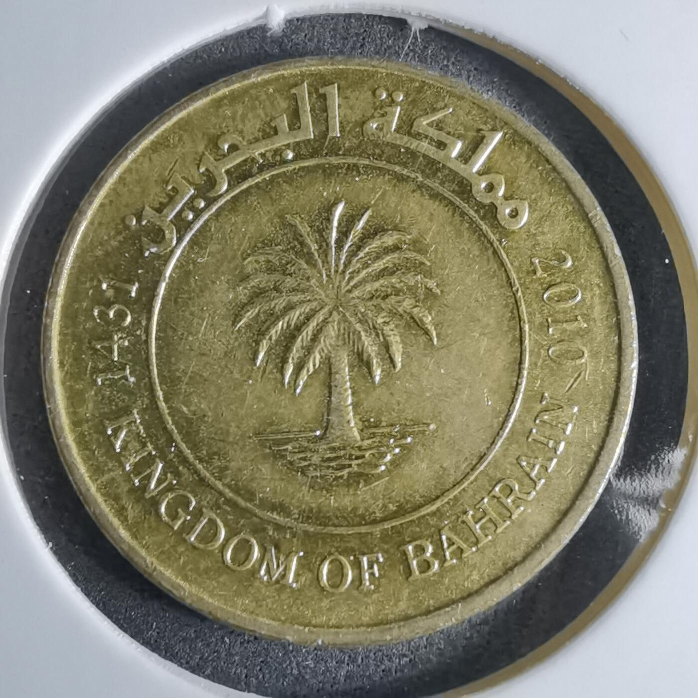 沼泽如烟--第924场