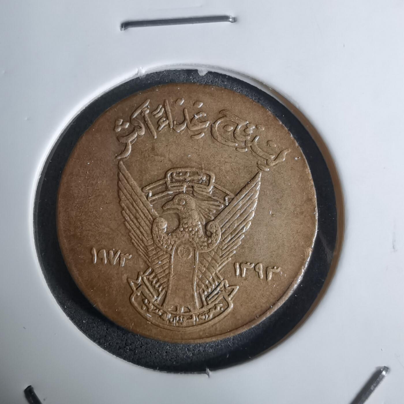 沼泽如烟--第924场