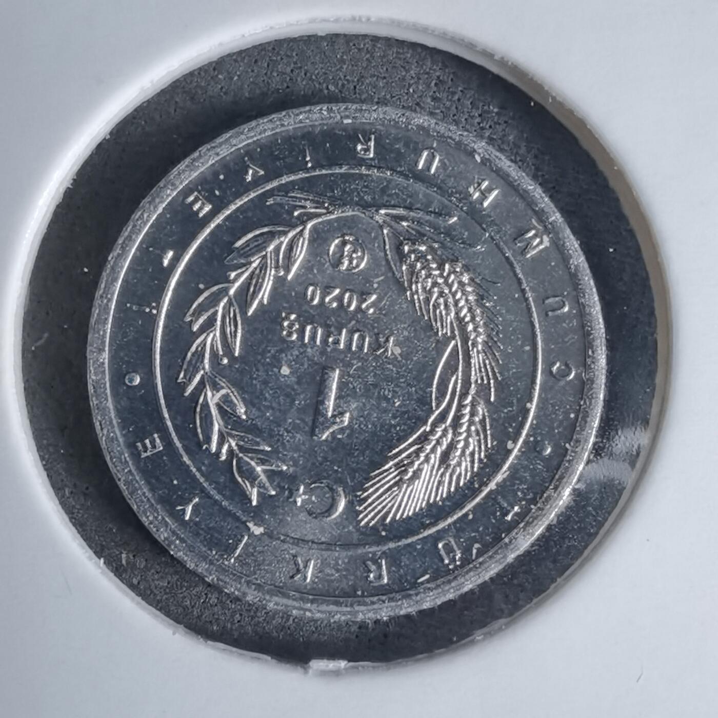 沼泽如烟--第924场