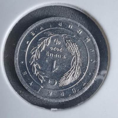 沼泽如烟--第924场 - 土耳其2020年1库鲁小鸟