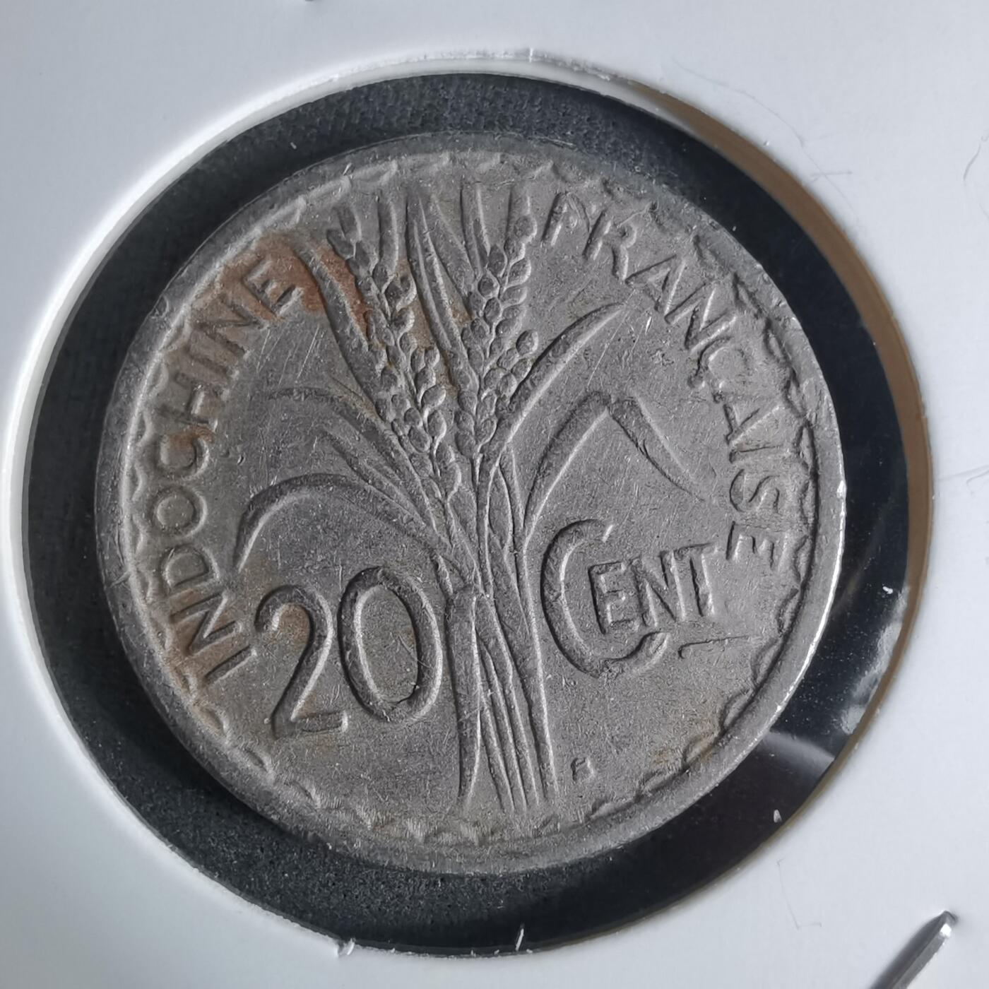 沼泽如烟--第924场