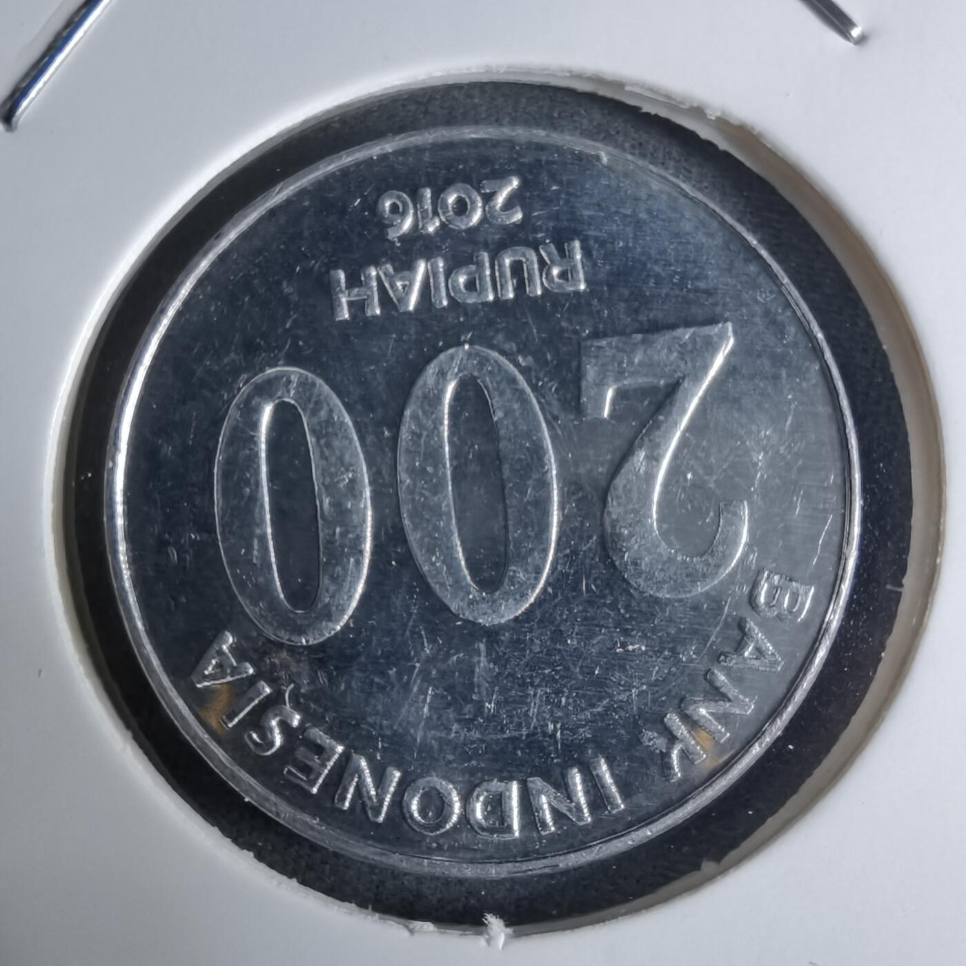 沼泽如烟--第924场