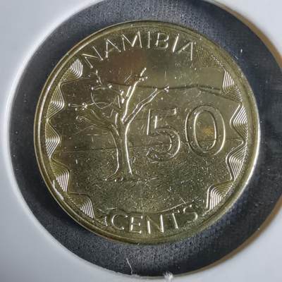 沼泽如烟--第924场 - 纳米比亚2025年50分