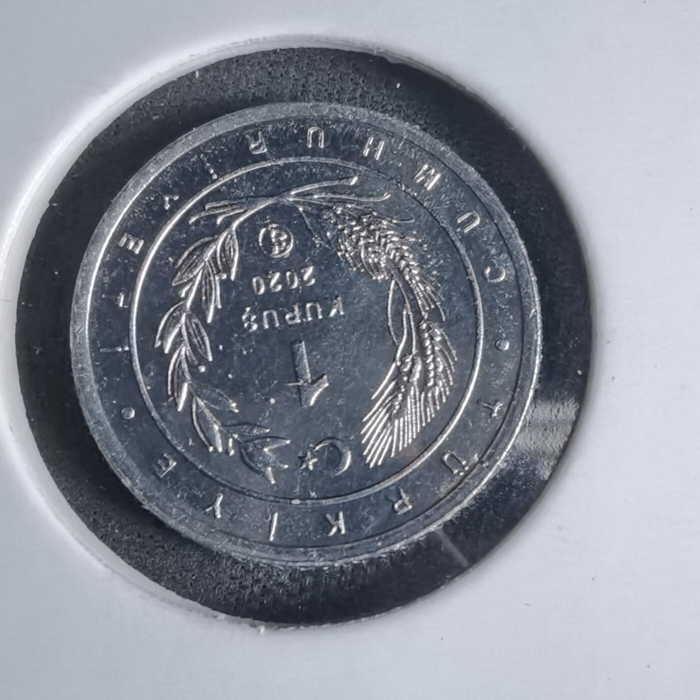 沼泽如烟--第924场