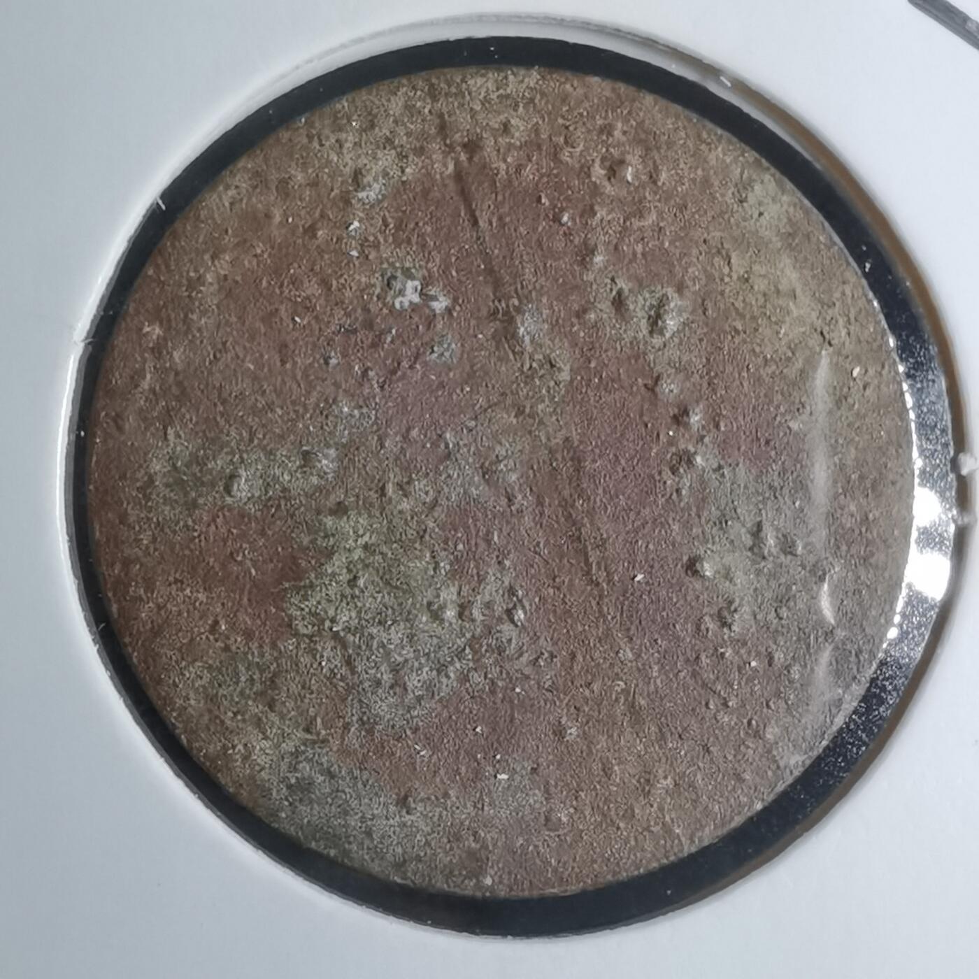 沼泽如烟--第924场 不认识