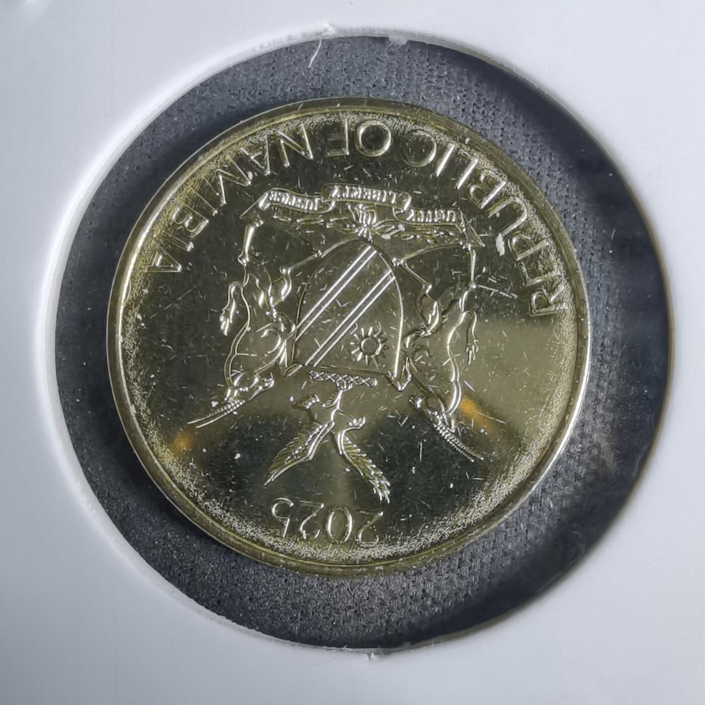 沼泽如烟--第924场