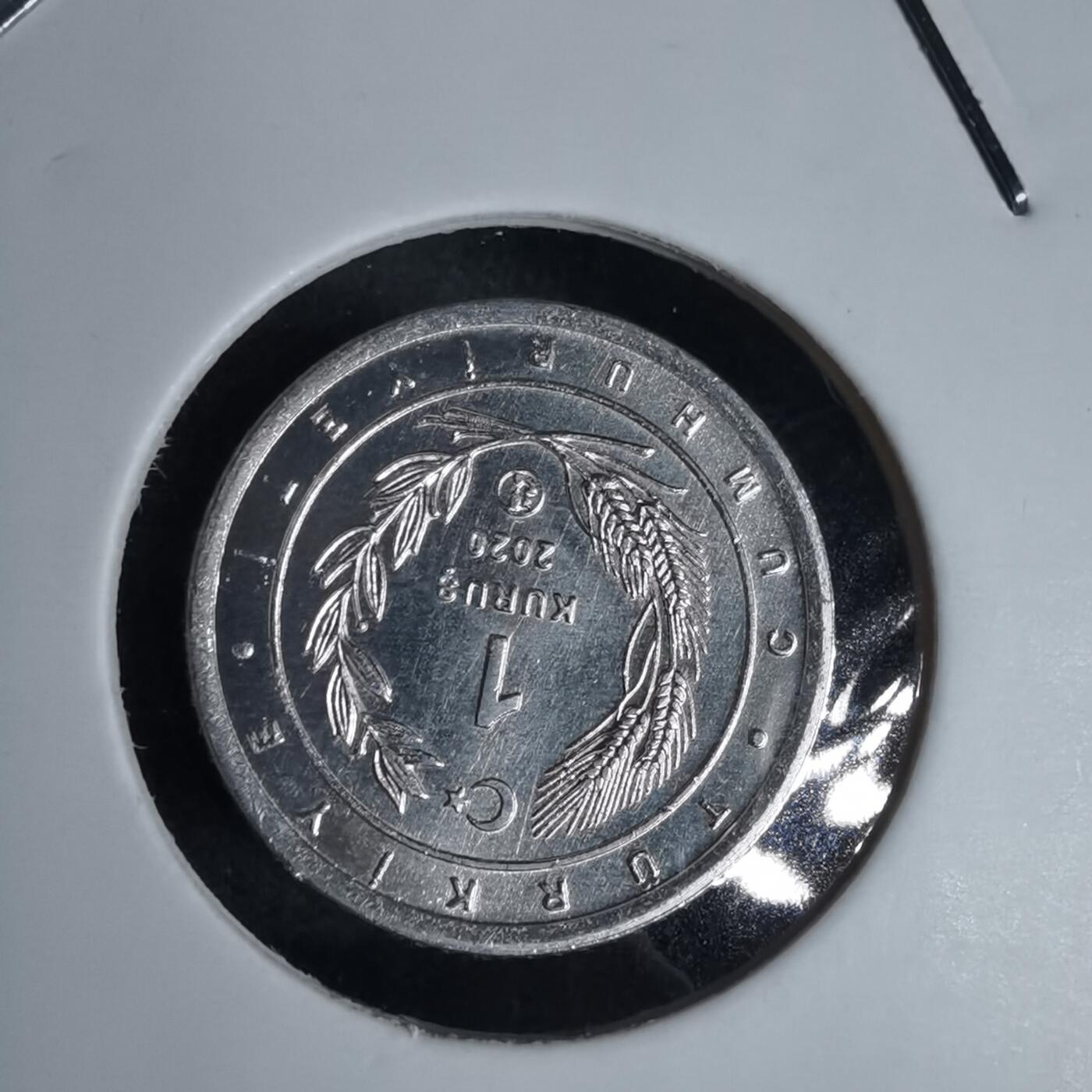 沼泽如烟--第924场