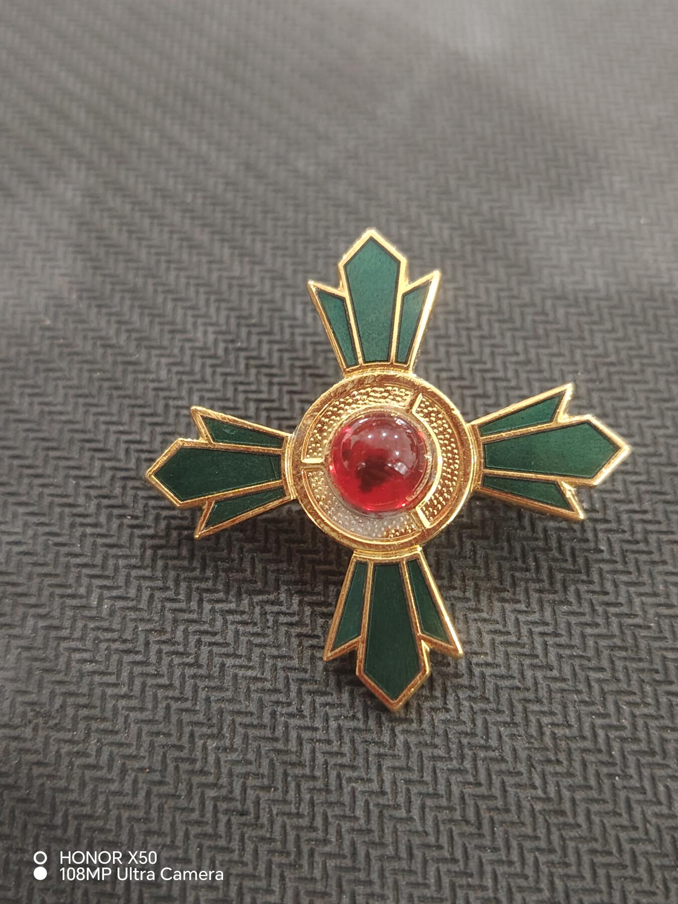 城南花开💐83场 绿十字单章