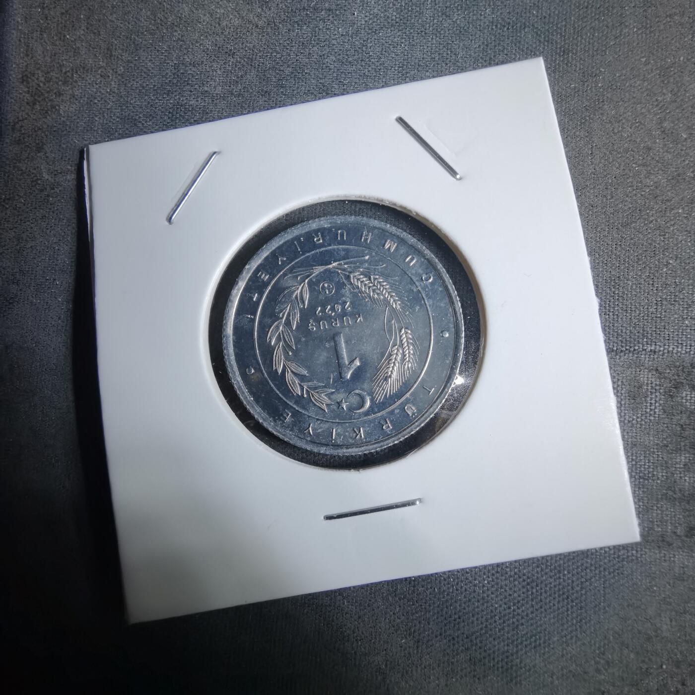 沼泽如烟--第924场