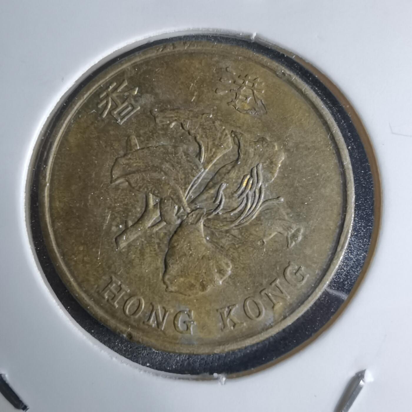 沼泽如烟--第924场