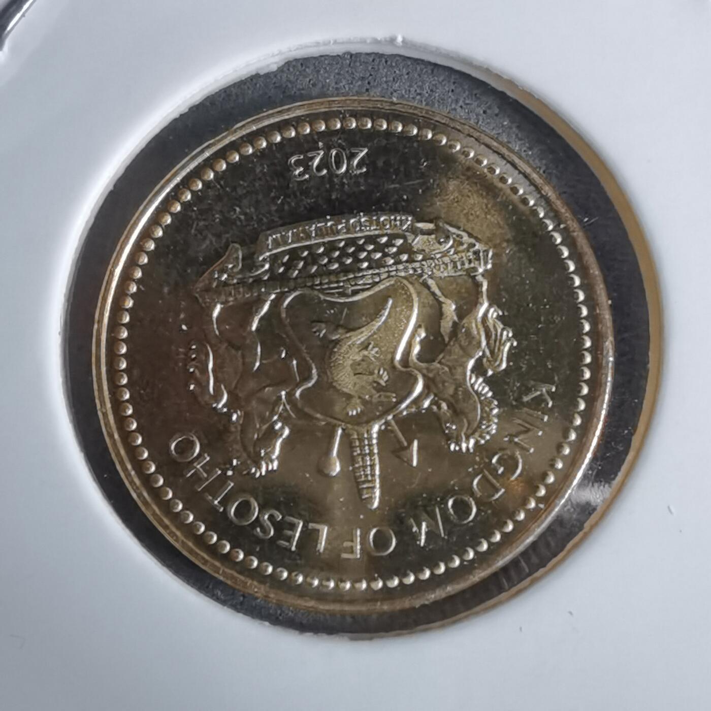 沼泽如烟--第924场