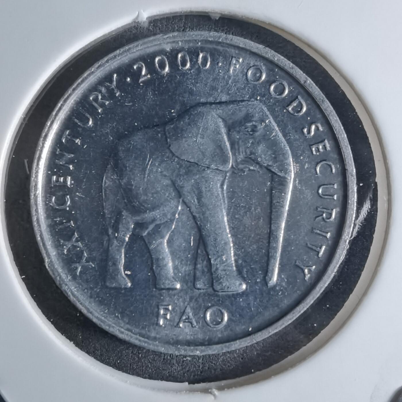 沼泽如烟--第924场