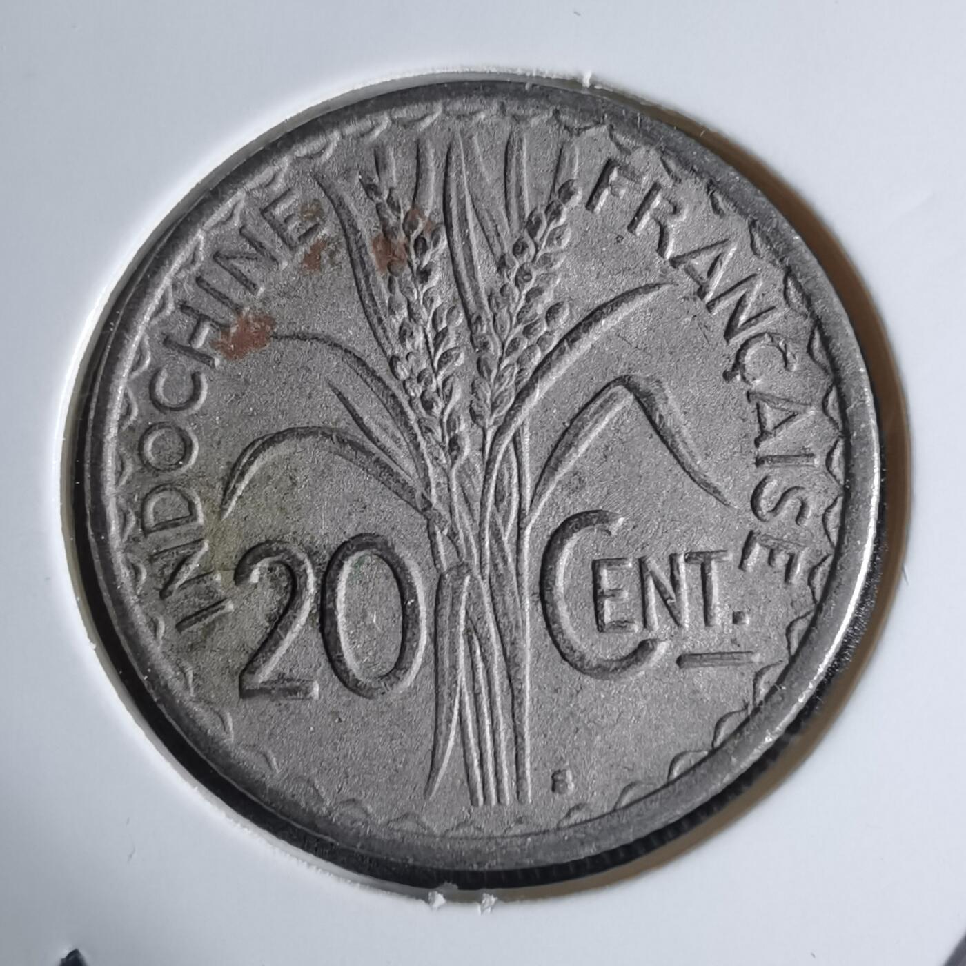 沼泽如烟--第924场