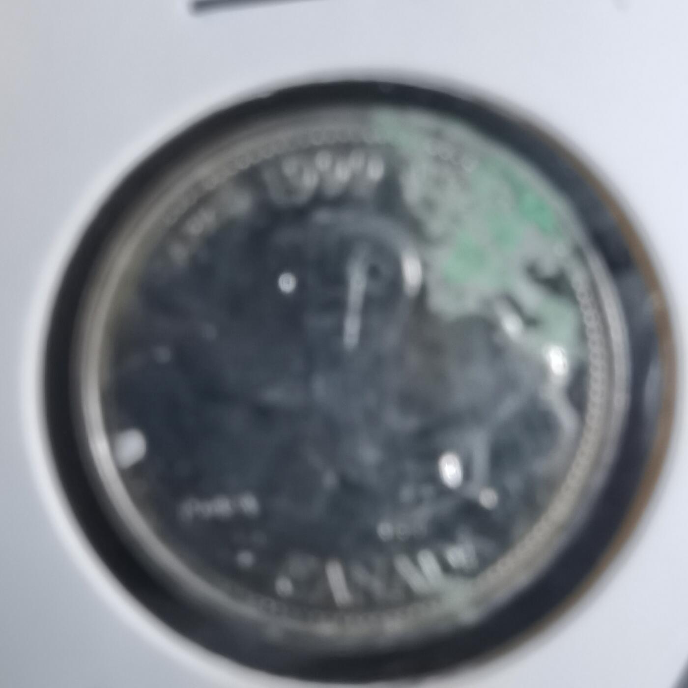 沼泽如烟--第924场