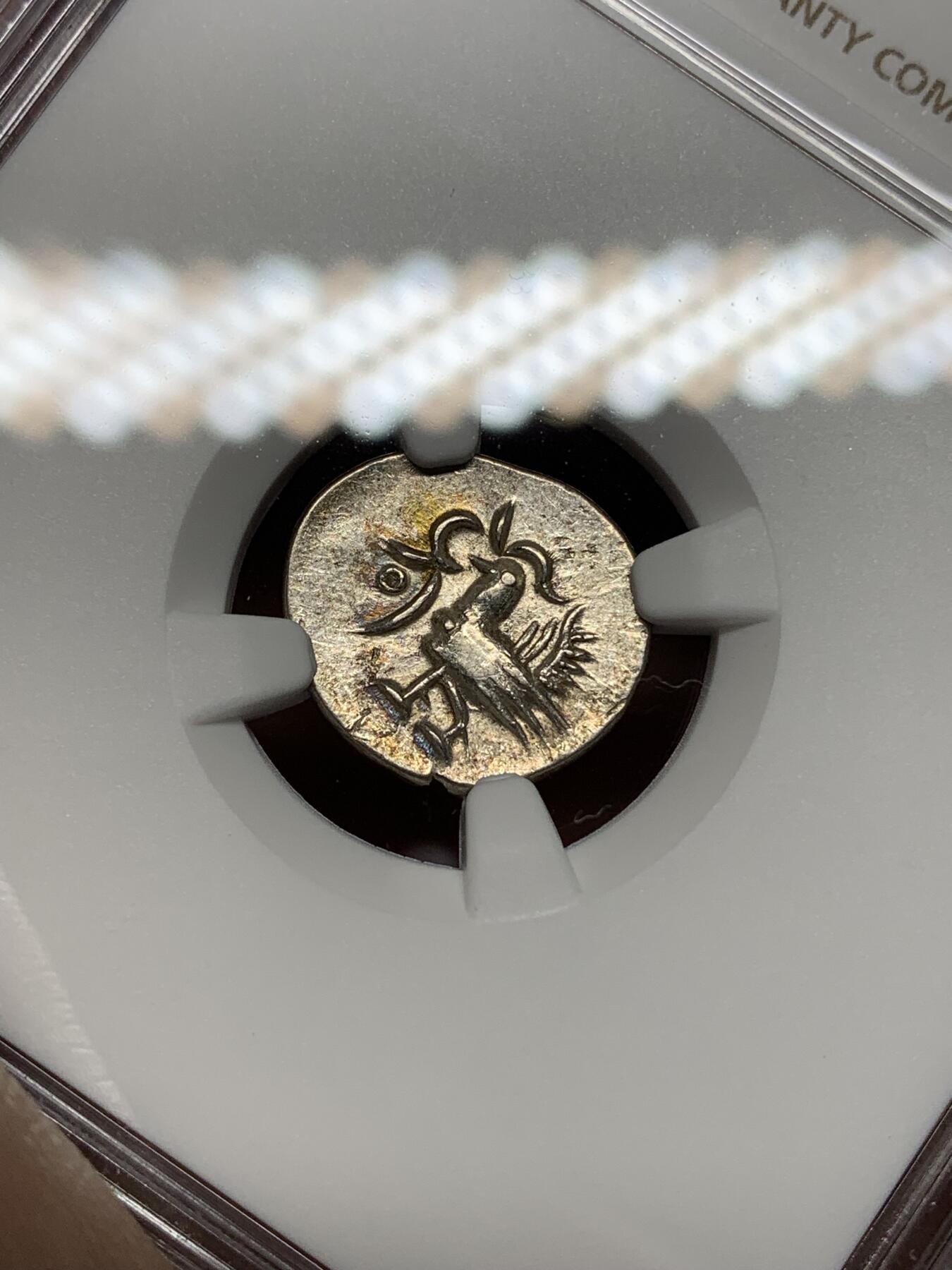 《竞宝斋》第445场 周日，周一，2场连拍 （全场包邮）