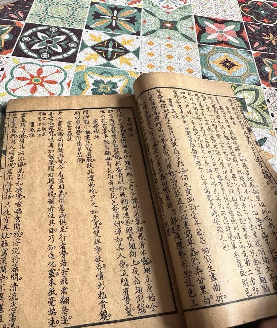 民国芥子园草虫花卉谱一册（无托实拍）