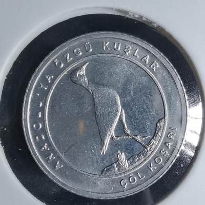 沼泽如烟--第924场 - 土耳其2020年1库鲁小鸟