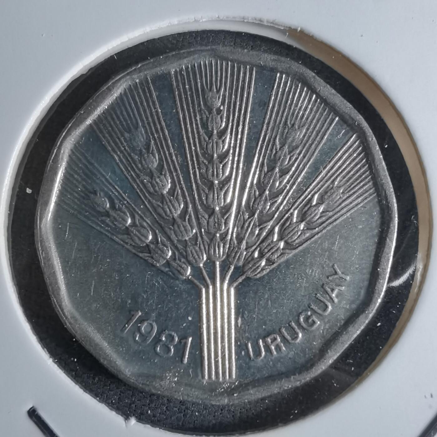 沼泽如烟--第924场 乌拉圭1981年2比索