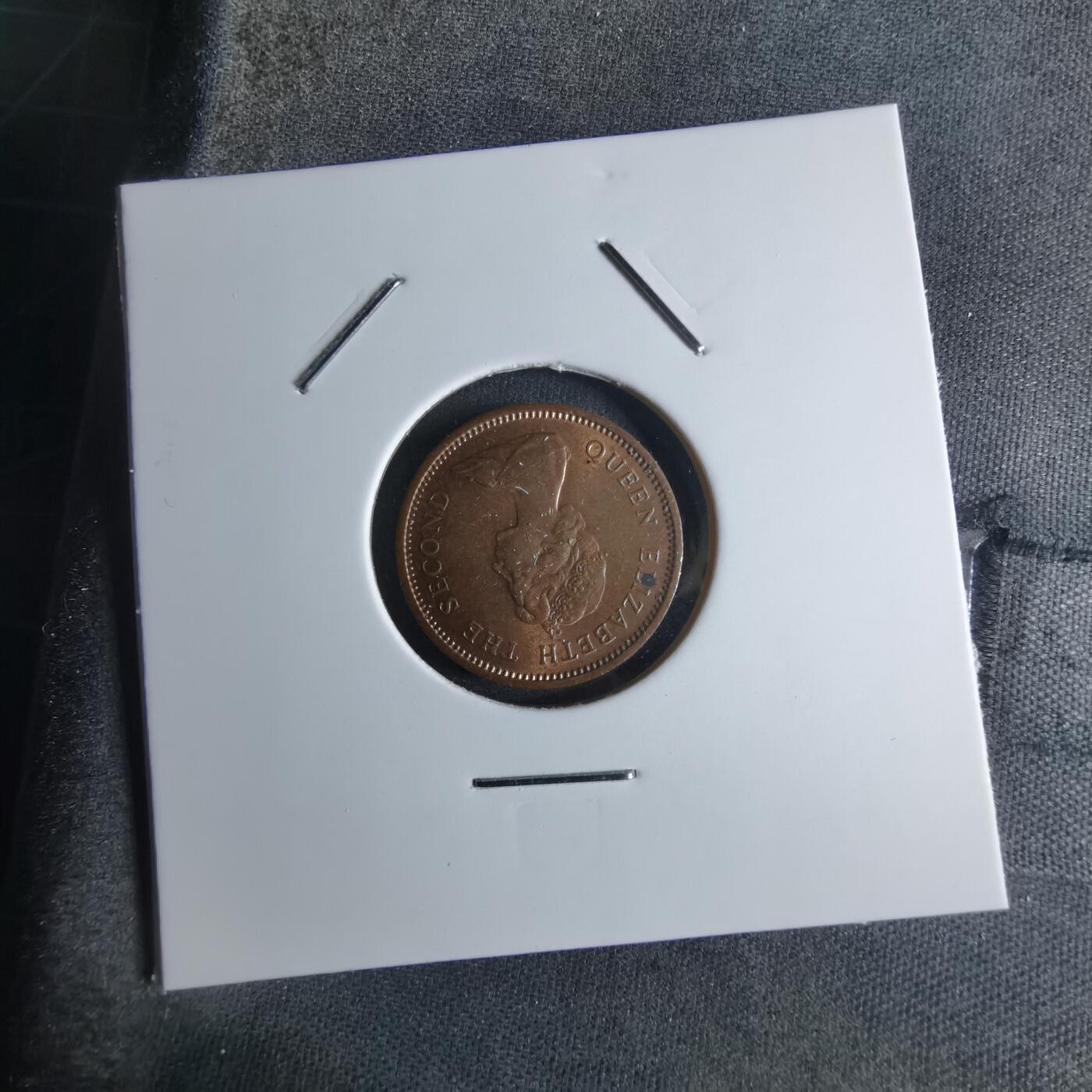 沼泽如烟--第924场