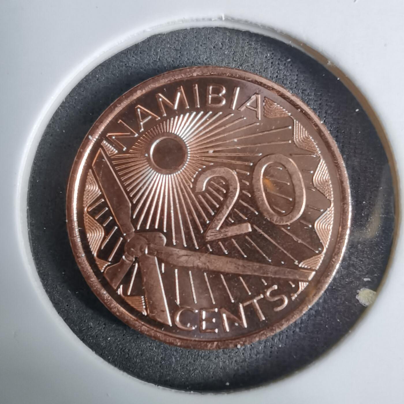 沼泽如烟--第924场