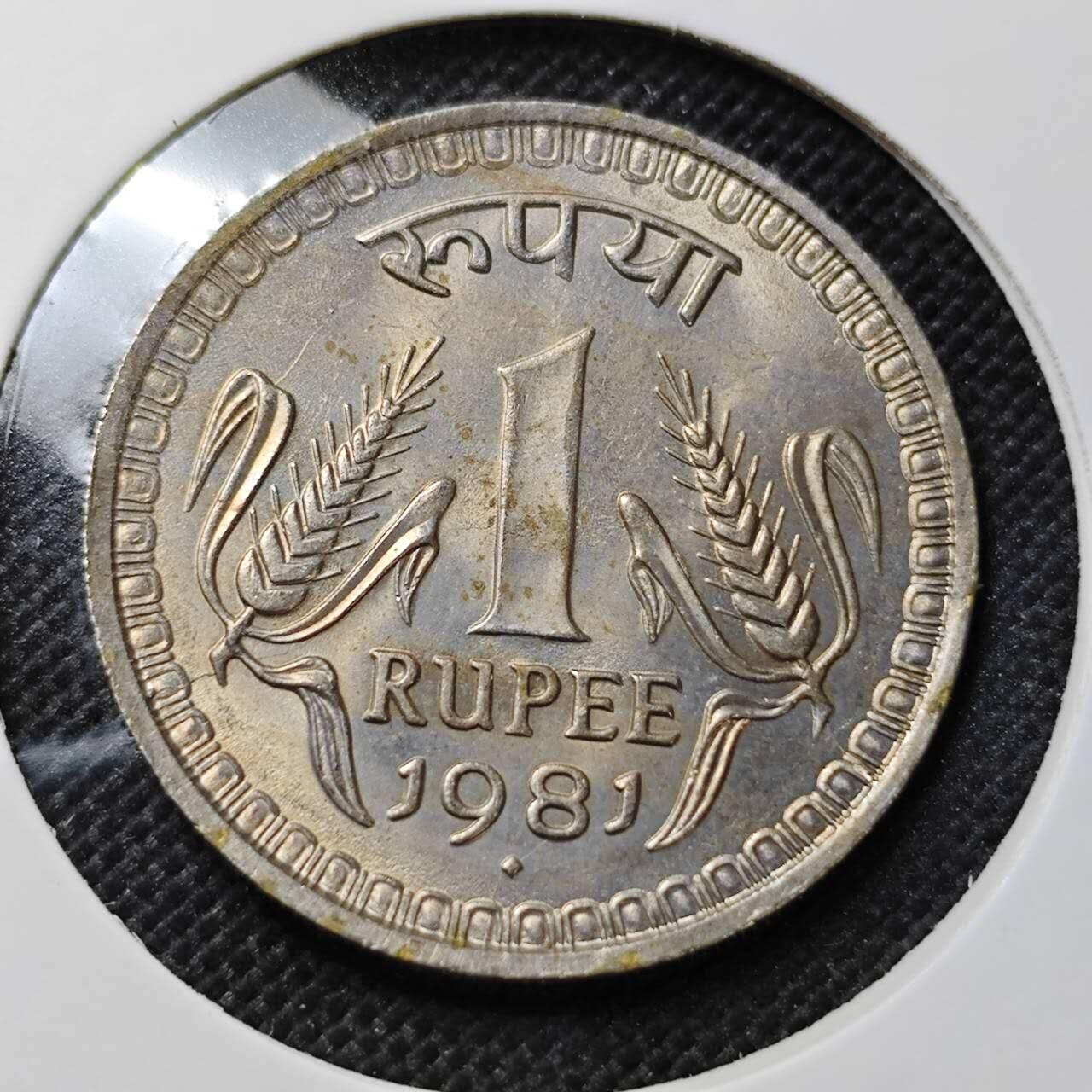 KK钱币收藏小铺 第375期  2月预留时间 周末发货  1981印度1卢比 大卢比好品