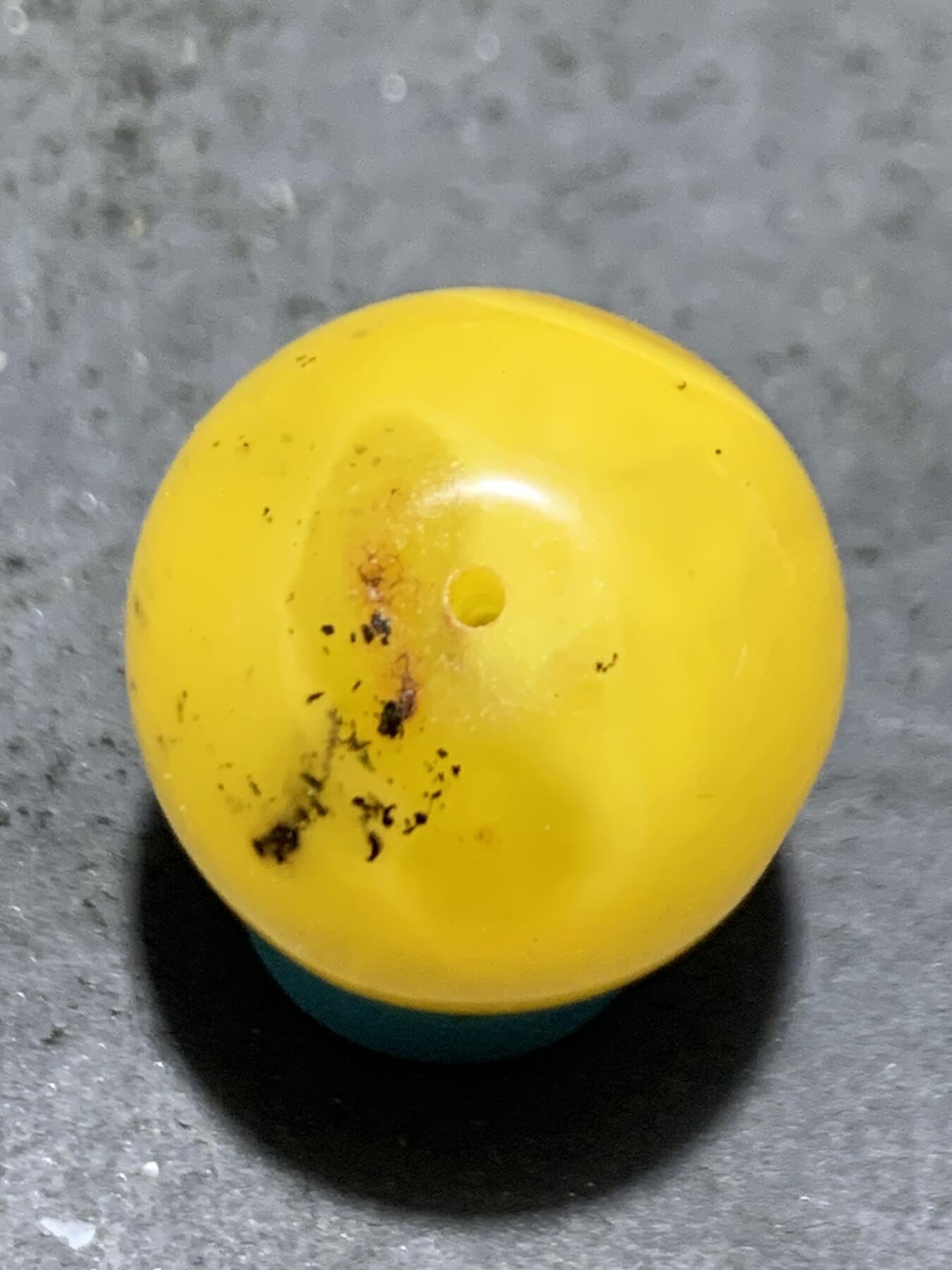 天然乌克兰蜜蜡通货随形大圆珠一颗