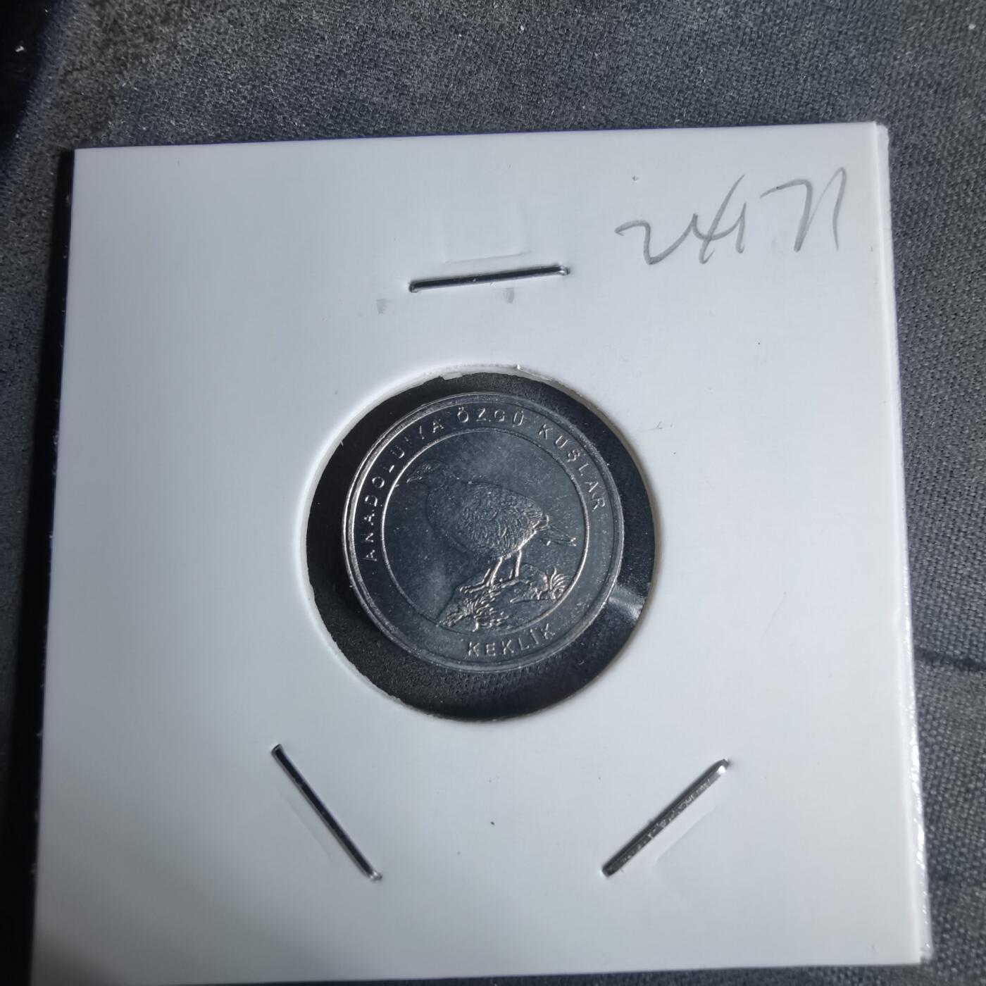 沼泽如烟--第924场