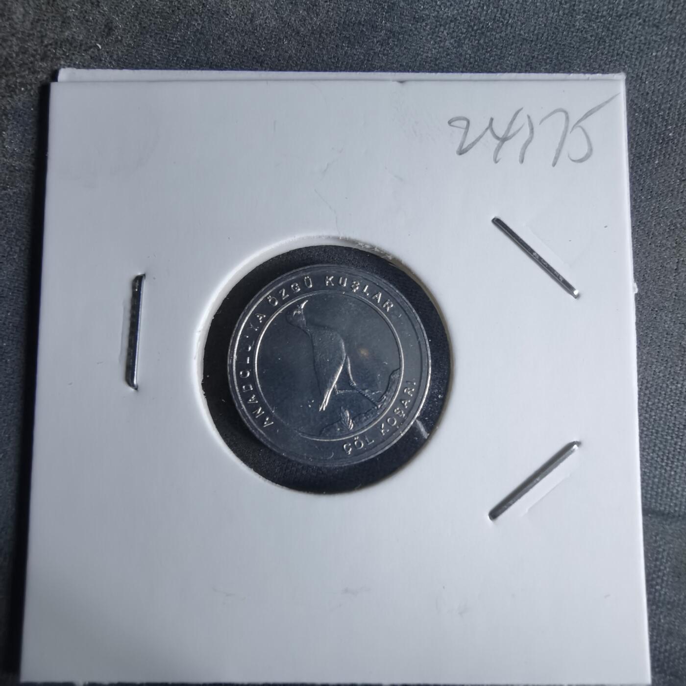 沼泽如烟--第924场