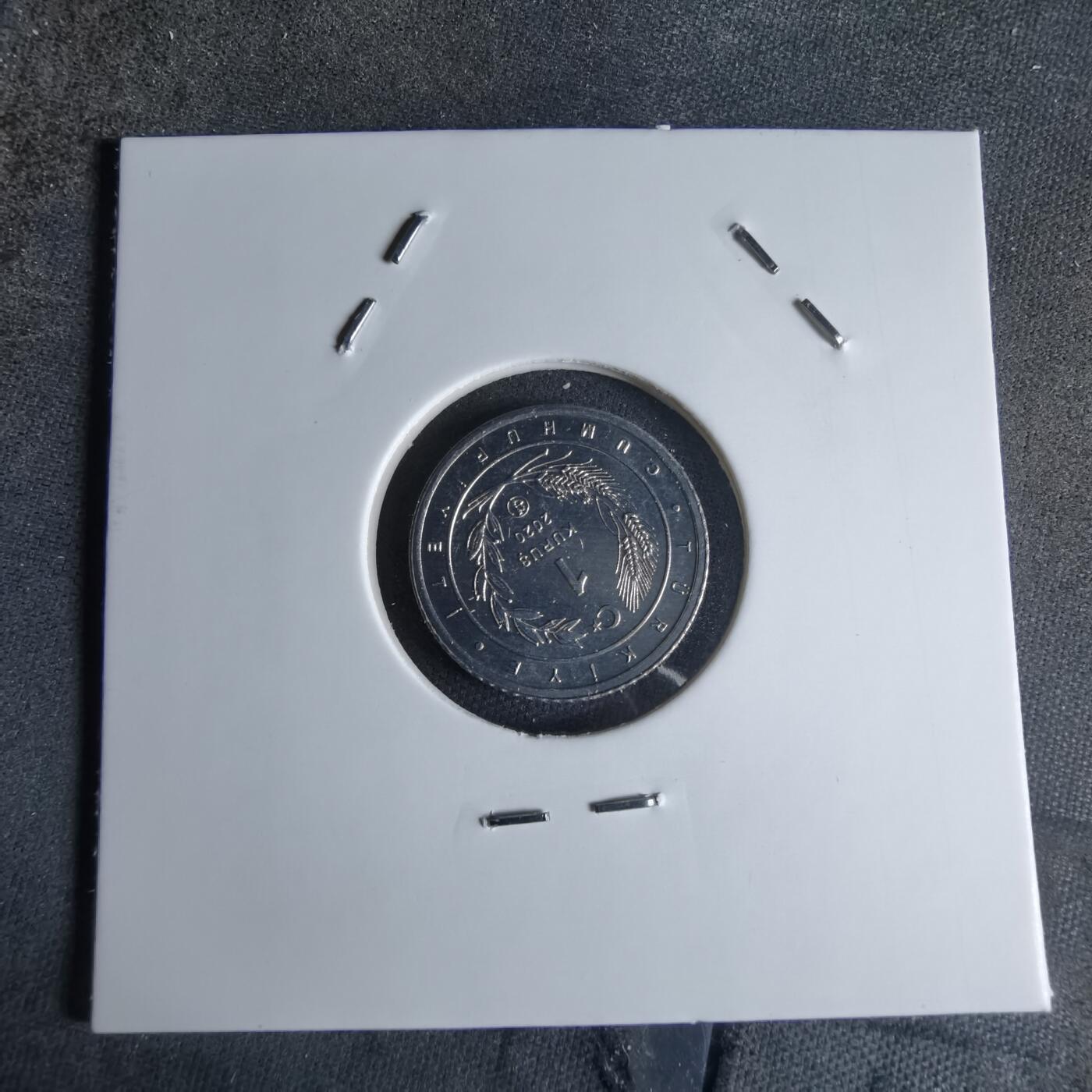 沼泽如烟--第924场 土耳其2020年1库鲁小鸟