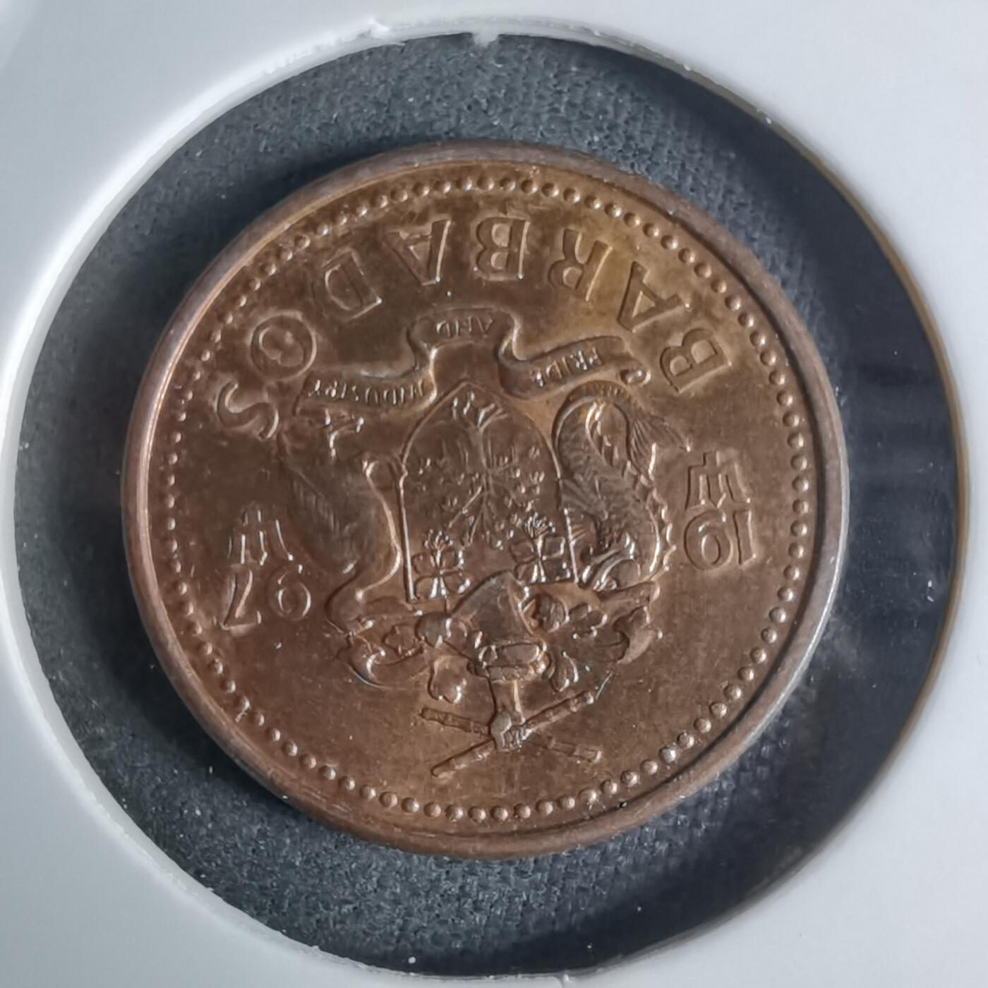 沼泽如烟--第924场