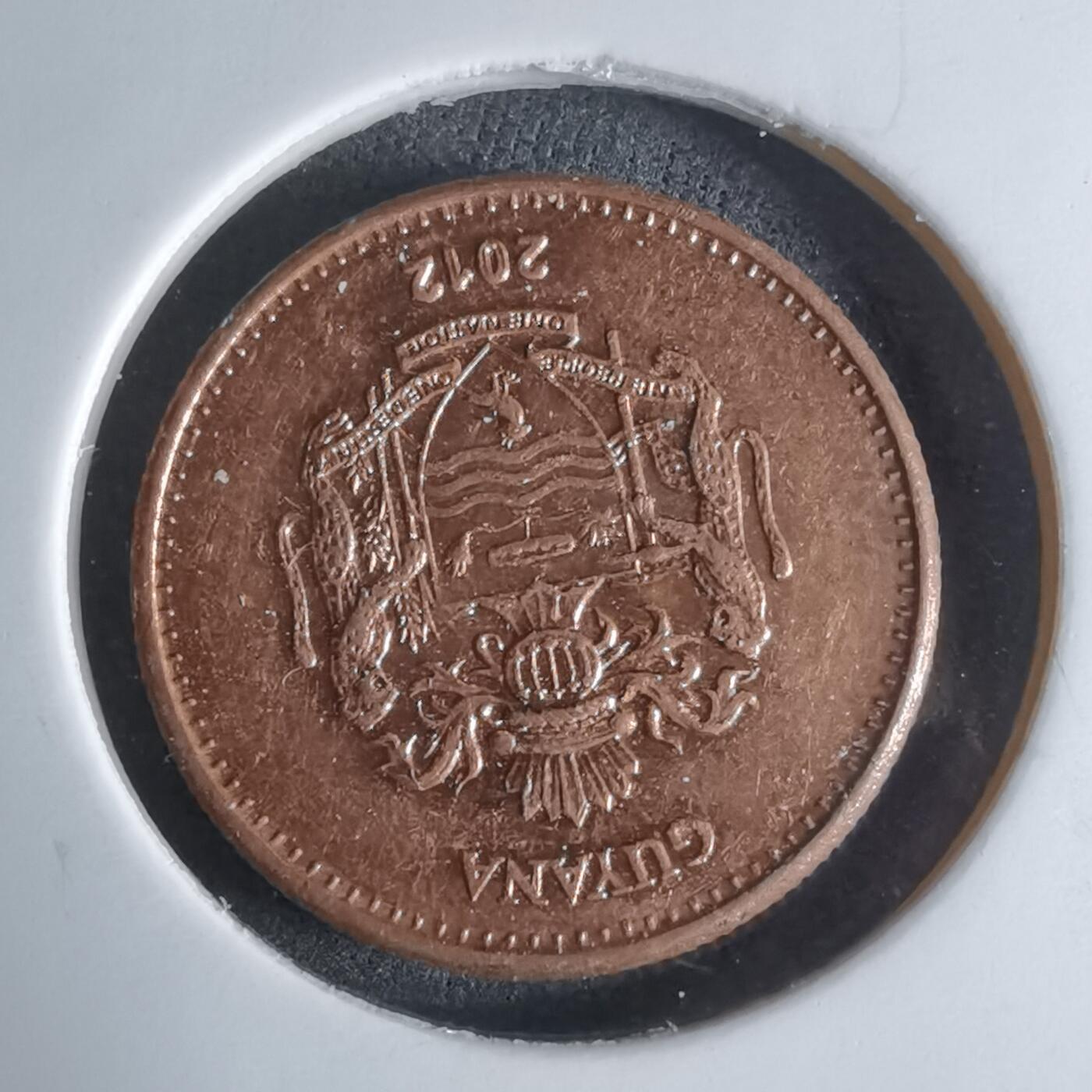 沼泽如烟--第924场