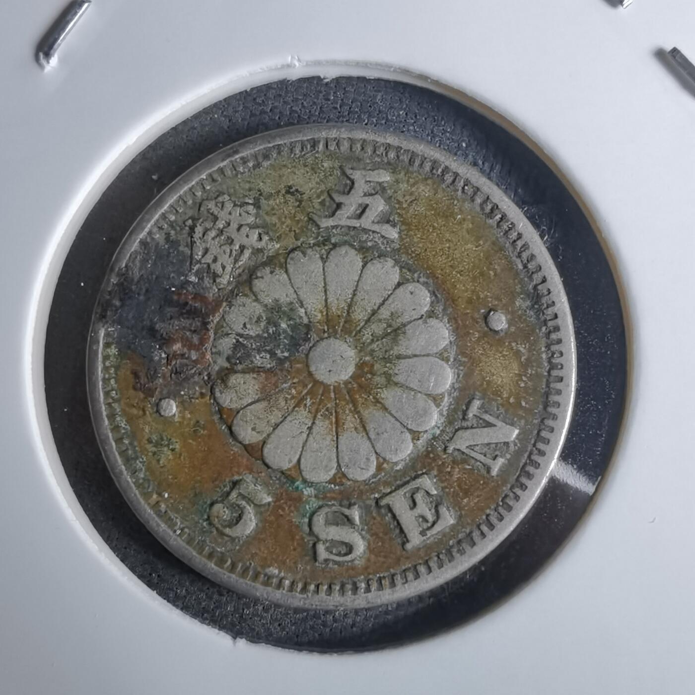 沼泽如烟--第924场