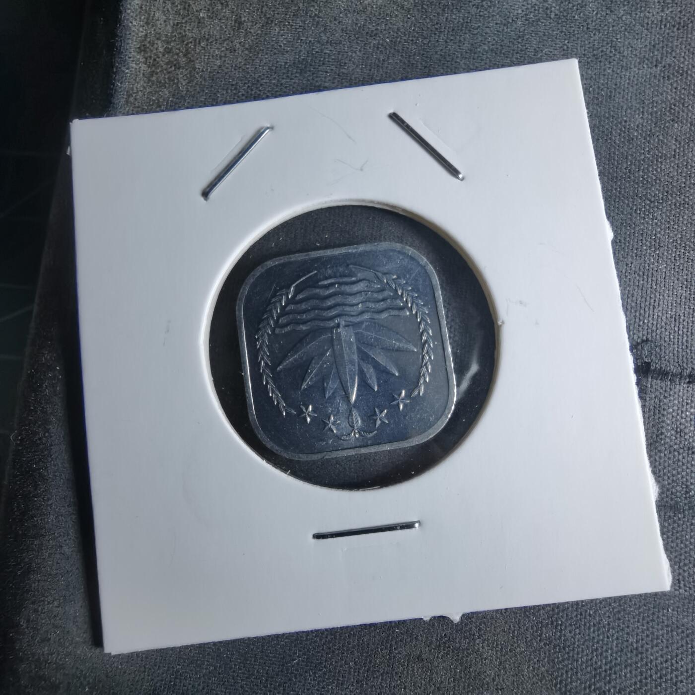 沼泽如烟--第924场