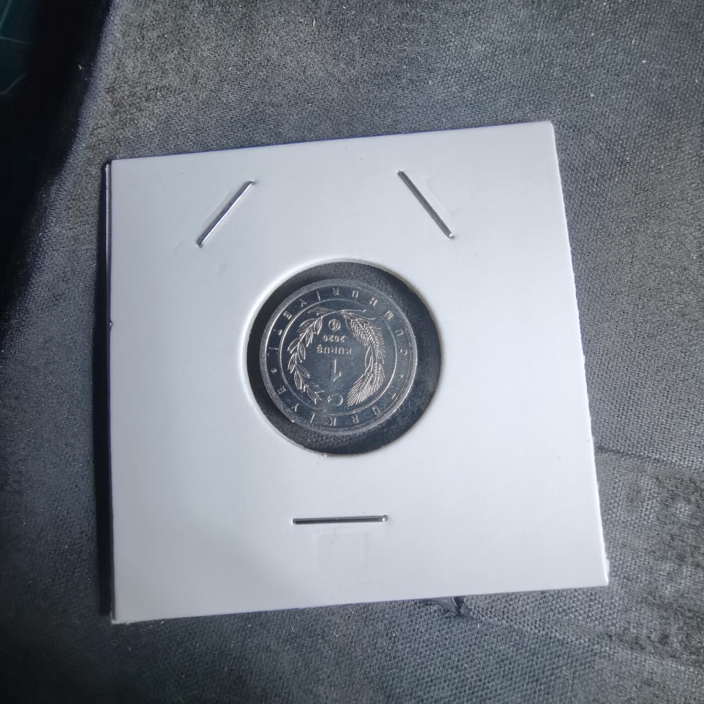 沼泽如烟--第924场