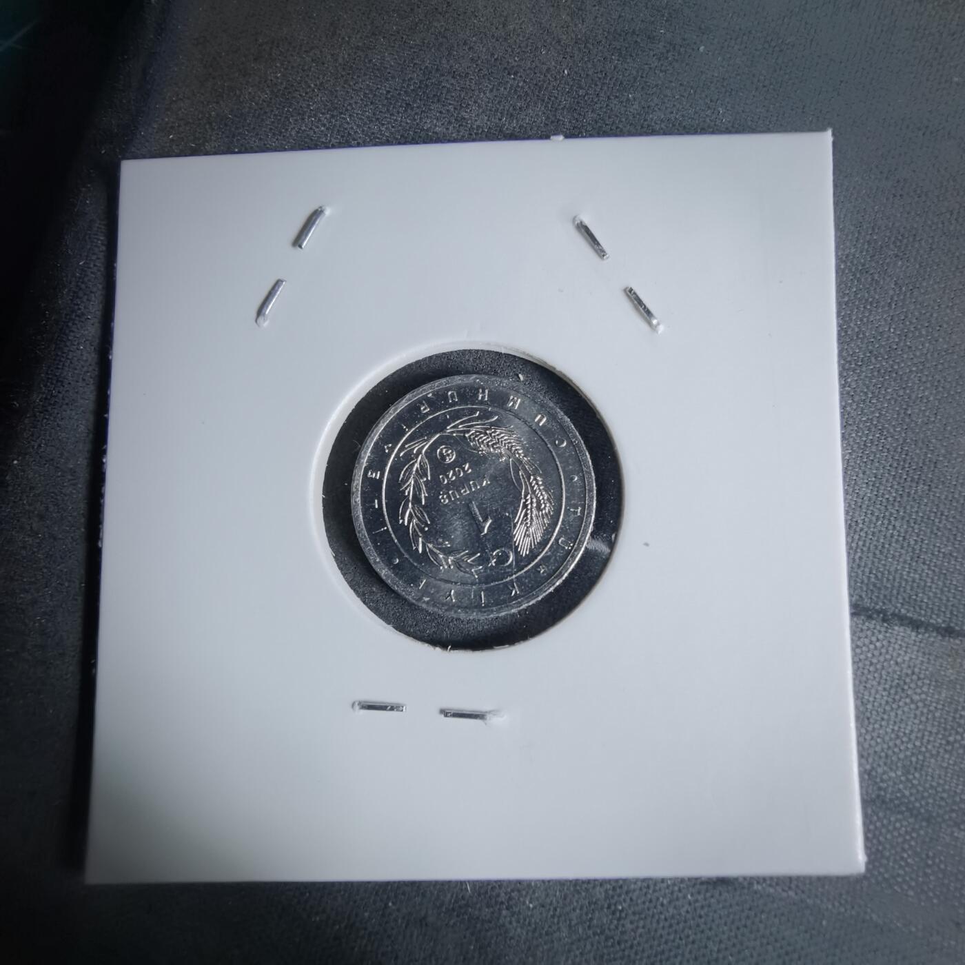 沼泽如烟--第924场