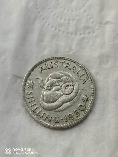 外国银币 - 50年澳大利亚绵羊1先令