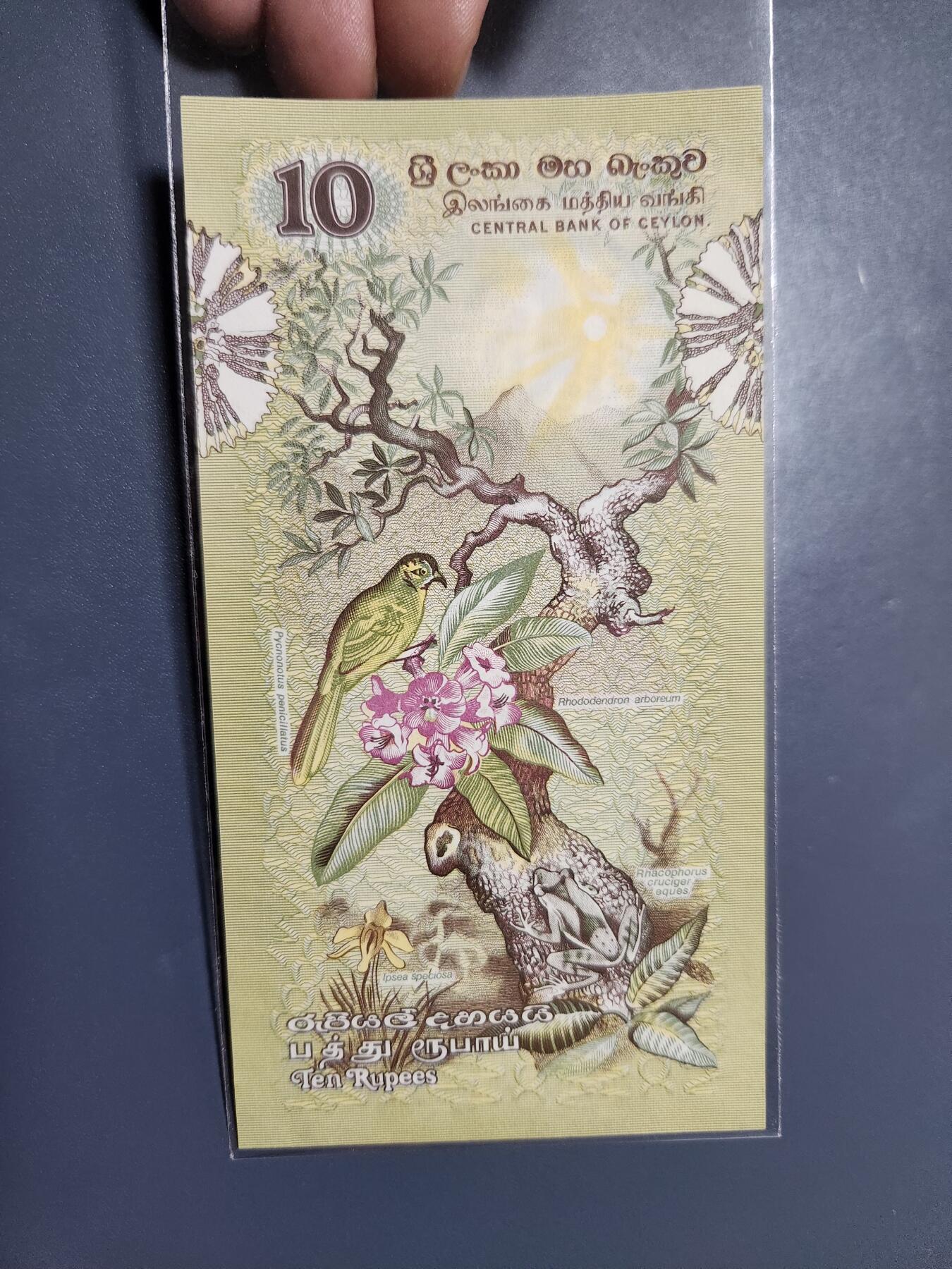 12月10号晚上8点 外国纸币自动截拍第71场